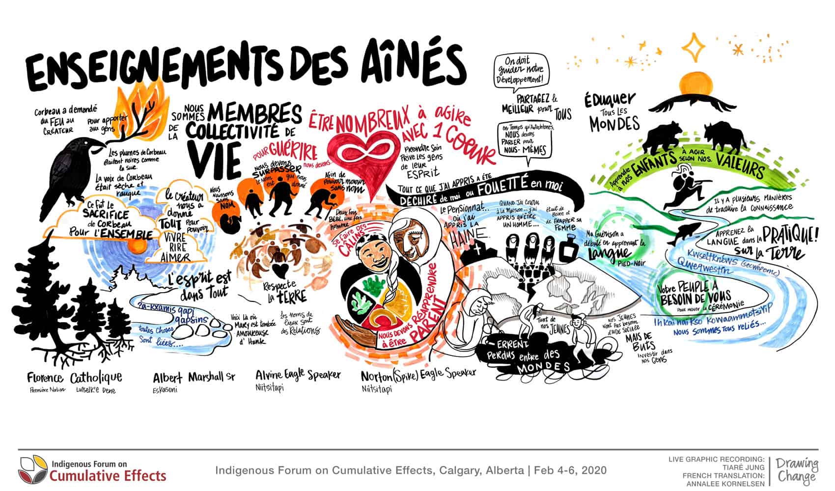 drawing-caec-aines-01
