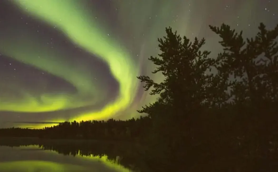 photo of trees against a sky filled with northern lights