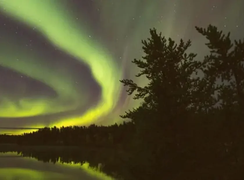 photo of trees against a sky filled with northern lights