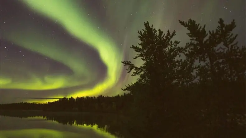 photo of trees against a sky filled with northern lights