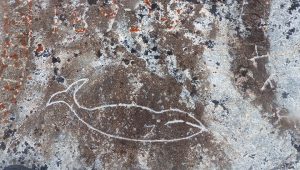 photo of indigenous rock painting