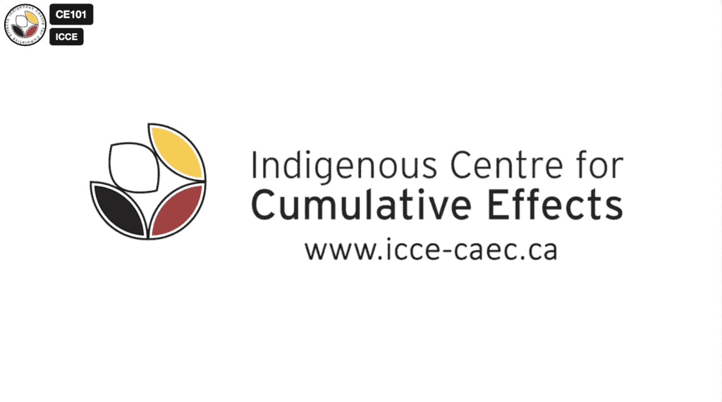 Interview: Saya on the History of the Nuu-chah-nulth Territory