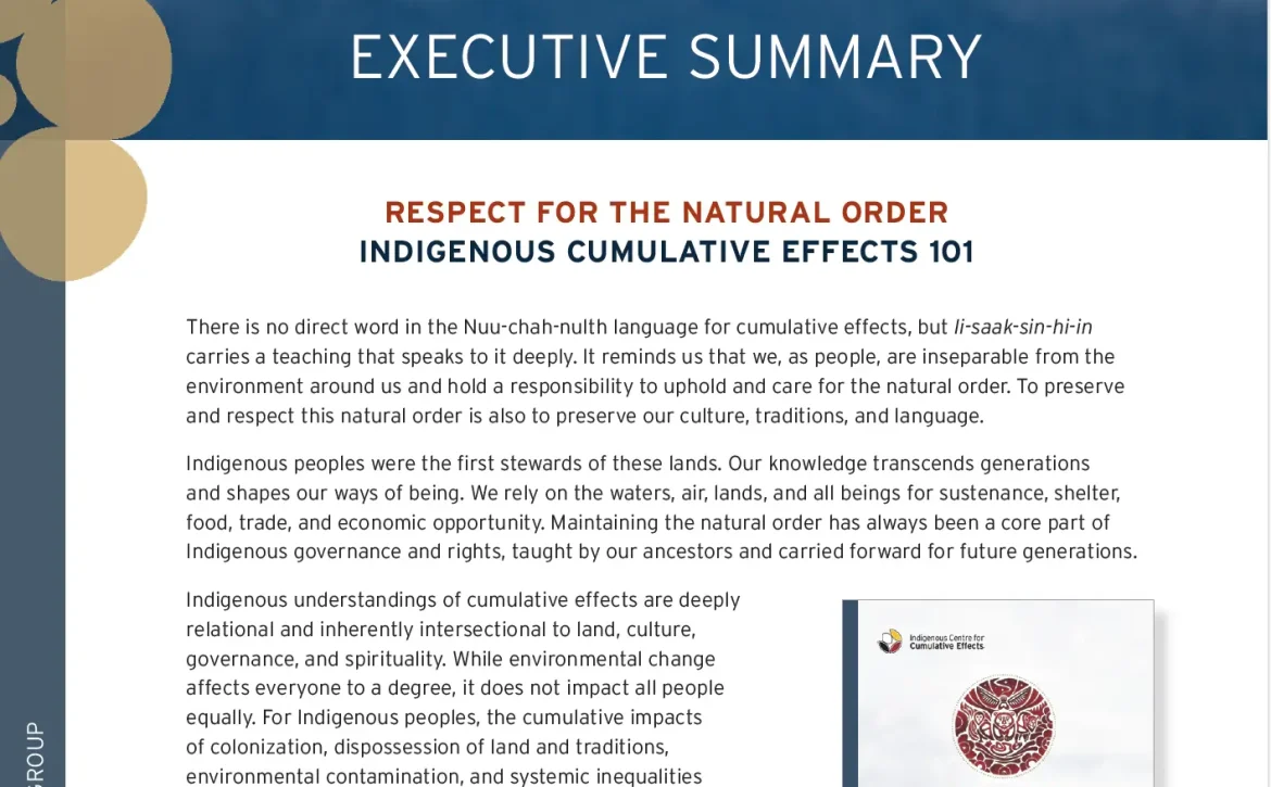 Ce101 Executive Summary cover