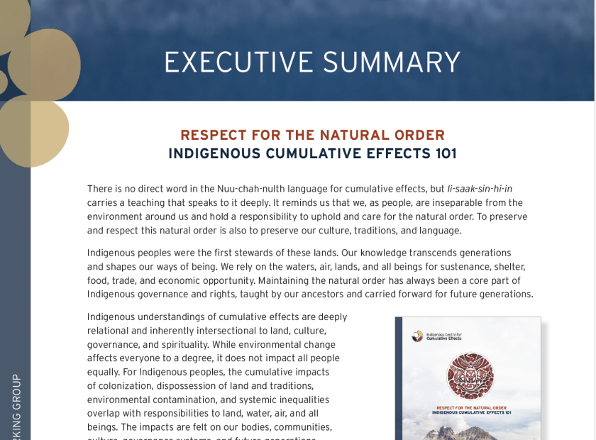 Ce101 Executive Summary cover