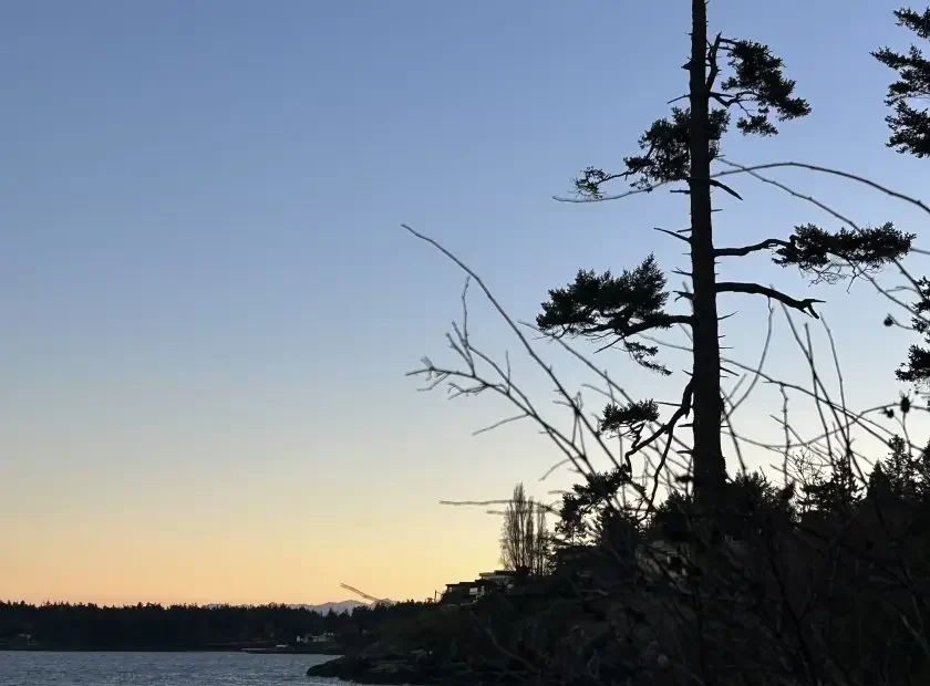 Victoria water sunset