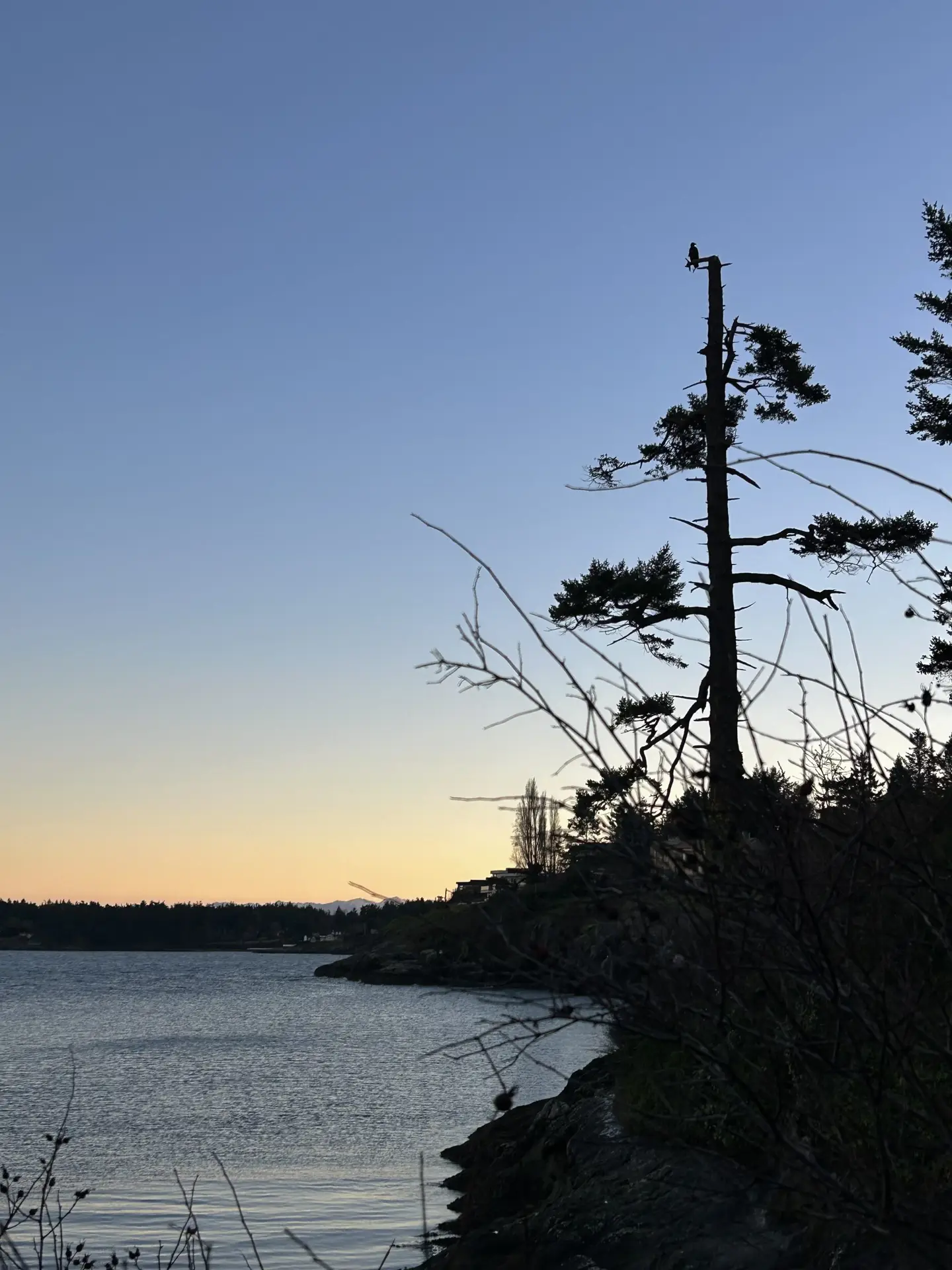 Victoria water sunset