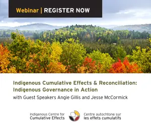 Webcast invite trees in fall colours