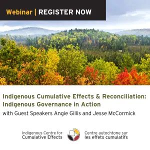 Webcast invite trees in fall colours