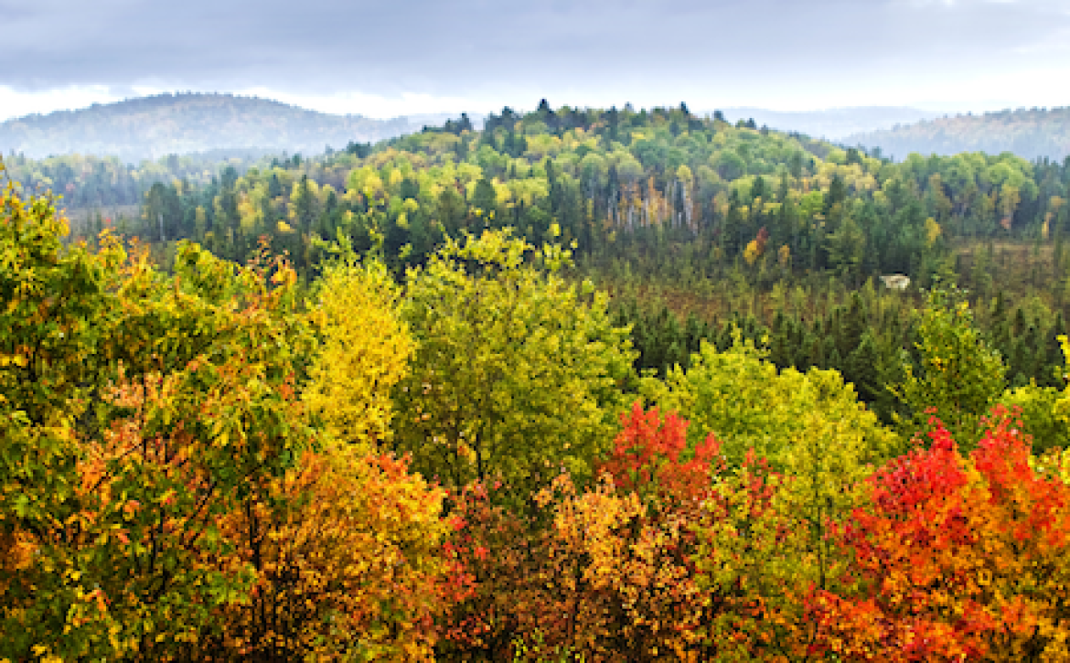 blog image